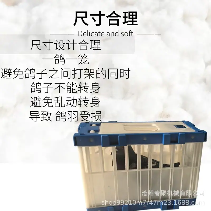 微信图片_202503121359271.jpg