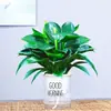 Filodendro Princesa Hoja Grande Diamante Dorado Planta Verde Fresca Divertida de Escritorio para Interiores Planta en Maceta Fácil de Mantener Florales y Plantas Hermosas