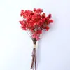 Flores Secas Transfronterizas, Gypsophila, Flores de Cristal, Mini Ramos, Ramos de Punta de Dedo Mezclados y Combinados, Cajas de Regalo, Decoraciones para Tarjetas de Felicitación