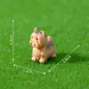 Micro Paisaje Lindos Cachorros Poodle Shih Tzu Figuras Adornos DIY Accesorios para Colgar Mini Adornos de Escritorio