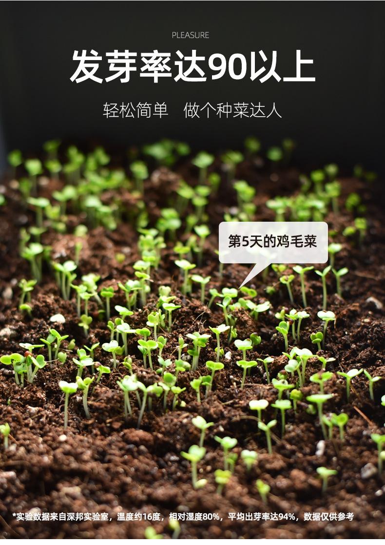 详情图片_10.jpg