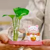 Lindo Gato de la Suerte Jarrón Hidropónico para Entrada, Aparador de Vino, Mueble de TV, Arreglo de Plantas de Escritorio de Oficina, Decoración del Hogar