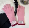 Guantes de Punto Estilo Coreano Ins~ con Parche para Mujer, Otoño e Invierno, Protección Cálida para Manos para Estudiantes en Bicicleta, Diseño Largo de Cinco Dedos, Compatible con Pantalla Táctil