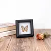 Marco de Fotos de Espécimen de Mariposa Pintura Decorativa de Madera Adorno Retro Europeo Soporte de Exhibición Muebles DIY Regalo de Cumpleaños Regalo