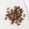 6x8mm Acrílico Imitação Pedra Natural Cascalho Assimétrico Contas Soltas DIY Pulseira Corrente de Celular Acessórios com Contas Atacado