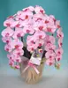 Planta de Phalaenopsis en Maceta con Vara Floral y Capullo Floral Flor Otoño e Invierno Orquídea para Sala de Estar Plántula Grande Planta de Interior Fácil de Mantener en Todas las Estaciones