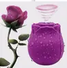 Masajeador Vibrador en Forma de Rosa Transfronterizo para Mujeres, Vibrador Multifrecuencia, Productos Sexuales para Adultos, Venta al por Mayor de Fábrica Av
