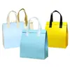 Bolsas Térmicas Descartáveis de Tecido Não Tecido Lisas, Bolsas Térmicas para Churrasco e Chá com Leite com Logo Colorido Impresso, Personalização em Pequenos Lotes