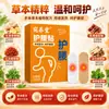 Estilo Douyin Patch Térmico Lombar Aquecimento Contínuo Quente Patch para Bebê Cuidado com a Cintura Fabricante Atacado Patch de Artemísia Dropshipping