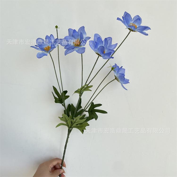 微信图片_202208311711003