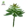 Simulación planta suculenta súper grande tamaño pequeño suculenta bonsái planta verde flor de plástico en maceta micro paisaje con pared vegetal