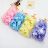 Grãos de Fragrância de 3g com Filme Solúvel em Água, Fragrância de Longa Duração, Fixação da Cor, Amaciamento, Brilho, Antiestático, Proteção das Roupas, Proteção da Cor, Grãos Perfumados