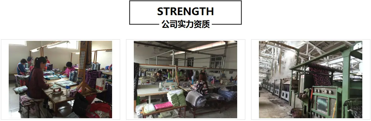 公司实力资质