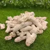 Material de filtración para acuario de hueso de coral de alta calidad, arena de coral al por mayor para mejorar el pH, material de filtro para purificar la calidad del agua, paisajismo de acuario