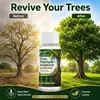 Kineshinex Solución Nutritiva para Árboles Fórmula Nutritiva para Raíces Profundas Ayuda a Suplementar los Nutrientes Necesarios para el Crecimiento del Árbol