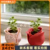 Producto popular transfronterizo: Maceta Pequeña de Flor Rosa Impresa en 3D, Adorno Decorativo para Suculentas, Material Ecológico