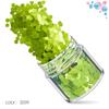 Kit de Unhas Verdes Transfronteiriço 12 Cores Misturadas Lantejoulas para Nail Art Laser Pó Escarlate Joias para Nail Art Broca Adesivo para Unha