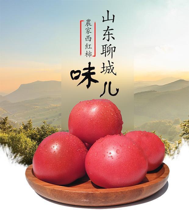 acd3e8fd-9dc4-46e5-82e3-6be8546e2355.jpe