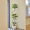 Plantas Verdes Artificiais, Árvore de Borracha Preta de Luxo de Alta Qualidade, Figueira Lira, Árvore Decorativa Artificial de Chão de Alta Qualidade para Sala de Estar Interna