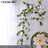 Enredaderas de Rosas, Rosas Trepadoras, Decoraciones para Calefacción Interior, Enredaderas de Flores para Cubrir Paredes, Plantas Verdes