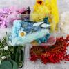 Flor Eterna Flor Seca Gipsofila Kit de Material DIY Aromaterapia Resina Rosa Flor Seca Não Me Esquecas Porta-Retrato Leque Redondo Design Criativo
