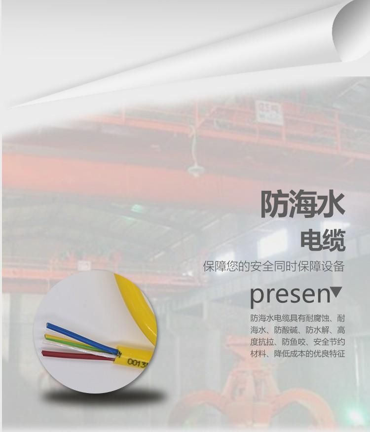 防海水电缆