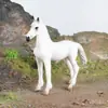 Modelo de Caballo Blanco Simulador Caballo de Pradera Potro Animal Juguete de Plástico Animal Salvaje Regalo Cognitivo para Niños Regalo