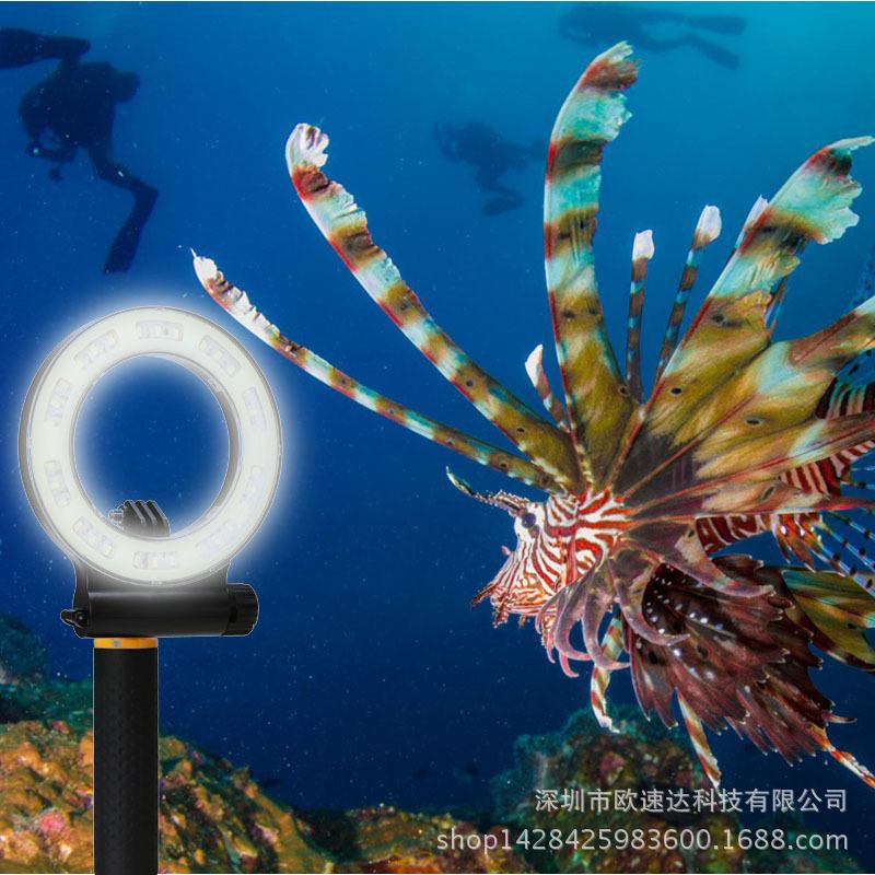 未标题-1