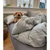 Juego de Cuatro Piezas para Todas las Estaciones, Juego de Cama de Cuatro Piezas, Funda de Edredón Lavable, Sábana Plana, Sábana Ajustable, Juego de Tres Piezas para Dormitorio