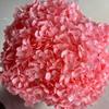 Anna Hydrangea Hydrangea Hydrangea Flor eterna flutuante Flor seca Decoração para casa Fábrica de Yunnan Atacado Frete grátis