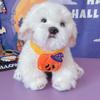 Cachecol de Lã de Halloween para Animais de Estimação Transfronteiriço para Gatos e Cães Cachecol de Caveira para Cães de Pequeno e Médio Porte Coleira Fantasma Atacado
