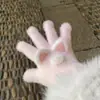 Guantes de Punto de Cinco Dedos con Orejas de Conejo Rosas para Mujer en Invierno, Lindos, Dulces, Versátiles, Cortavientos, Cálidos y a Prueba de Frío para Ciclismo