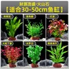 Plantas de Acuario, Decoraciones de Paisajismo con Césped Real, Plantas Aptas para Principiantes, Crisantemo Verde Ciempiés, Plantas de Sombra, Piedra Volcánica, Plantas Verdes Purificadoras de Agua