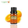 Umidade Transfronteiriça Comércio Exterior Umidificador Carro Hotel Aromaterapia Sem Chama Casa Derivado de Planta Frasco Pequeno de 10ml Óleo Essencial de Laranja Doce