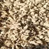 Quilha de Terra, Quilha Crua, Quilha Dura Lavada, Quilha Branca, Quilha Manchada, Quilha Calcificada, Shanxi, Gansu, Ningxia Quilha