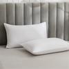 Tienda de Fábrica Transfronteriza Color Sólido Cómoda Agradable a la Piel Cepillada Funda de Almohada Individual 48*74cm Paquete Individual/Doble