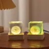 Luminária Noturna Criativa Cubo de Dente-de-leão Luminoso com Base Recarregável, Decoração de Mesa para Quarto, Artesanato, Lembranças
