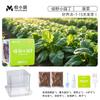 Crecimiento de Plantas, Germinación, Sistema Radicular y Caja de Observación de Venas, Juguetes para Experimentos Científicos para Estudiantes, Set de Plantas Pequeñas en Maceta para Niños