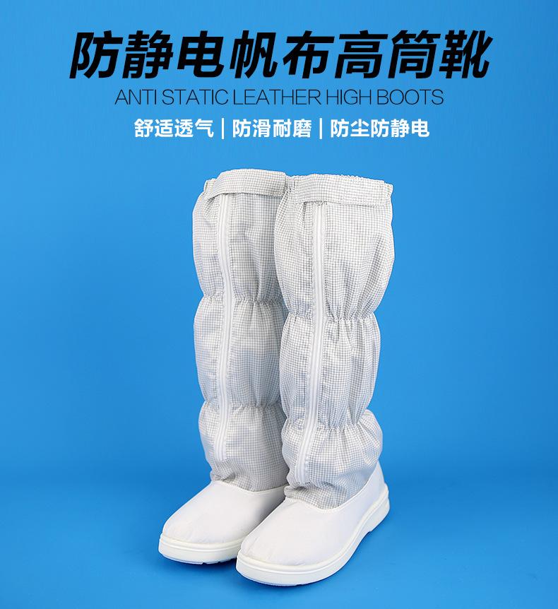 XIN_02.jpg