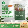 Fertilizante para Flores de Fosfato Monopotásico, Fertilizante General para Plantas Soluble en Agua, Fertilizante para Flores de Árbol de Osmanto para Plantas en Maceta Caseras, Fertilizante Especial de Fósforo y Potasio