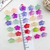 Acrílico Flor de Durazno de Cinco Pétalos Pétalos Pequeños Flor Hueca Tridimensional DIY Hecho a Mano Estilo Antiguo Materiales para Pasadores Accesorios