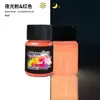 Polvo Luminoso Fluorescente de Alto Brillo de Larga Duración de 12 Colores Transfronterizo Polvo Fluorescente Pigmento Luminoso Aceitoso para Manualidades con Resina Epoxi DIY 20g