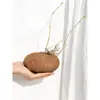 Plantas Suculentas para Paisajismo, Plantas Verdes Redondas de Hoja para Maceta Tortuga de Montaña, Bonsái de Escritorio Hidropónico, Plantas Trepadoras para Patio