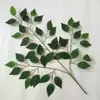 Folhas de Bordo Vermelho, Folhas de Bordo Garra de Galinha, Folhas de Ginkgo, Folhas de Sicômoro, Folhas de Bordo de Cinco Pontas, Galhos de Tília, Folhas Plásticas Falsas