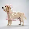Fabricante de capa de chuva para cachorro, capa de chuva para filhote de pet, roupas para Corgis, cães pequenos, Shiba Inus, cães de porte médio, impermeável transparente especial