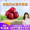 [Selección Premium] Manzanas Huaniu de Tianshui, Gansu Dropshipping 1.0-4 kg Frutas Pequeñas, Medianas y Grandes Fruta Fresca de Temporada Fruta Serpiente