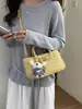 Bolso Minimalista de Alta Apariencia para Mujer 2026 Nueva Moda Bolso de Hombro Casual Bolso Cruzado Elegante de Nicho para Viajes
