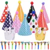 Set de sombreros de cumpleaños transfronterizos para bebés y niños, decoración de fiesta de cumpleaños, sombrero de punta con pompón de pelo, sombrero para mascotas de gato y perro