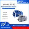 Motor assíncrono trifásico com carcaça de alumínio Motor com carcaça de ferro Motor de engrenagem RV Motor da série YS.Y2.YX com regulação de velocidade por frequência variável