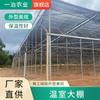 Plantas Cultivadas, Invernaderos Agrícolas, Siembra de Verduras, Vivero de Flores y Árboles, Invernadero Integrado con Película Fácil de Instalar
